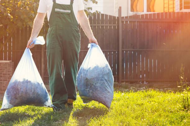 Best Hoarding Cleanup  in San Lorenzo, CA